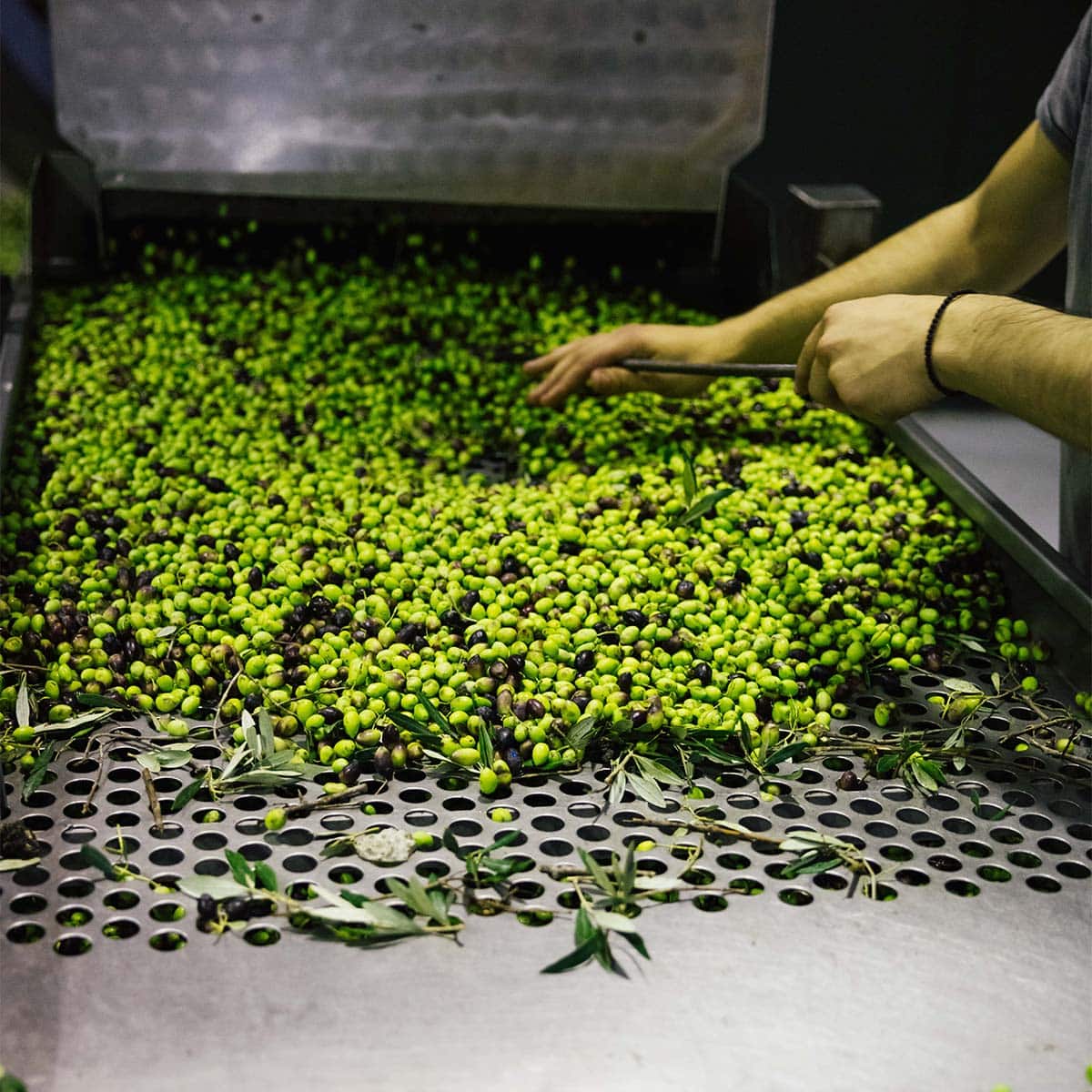 4 Tips for Treating Your Face with Olive Oil