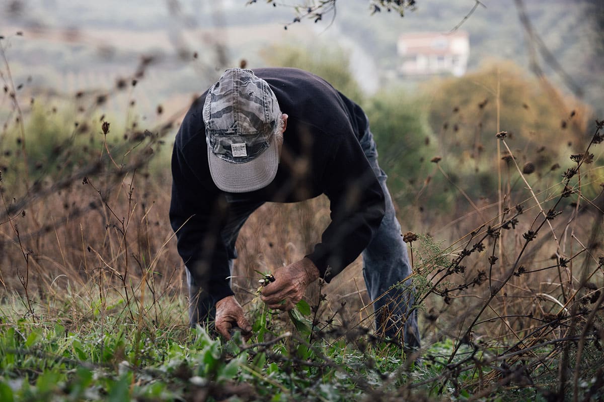 Greek vegetables and how to prepare them