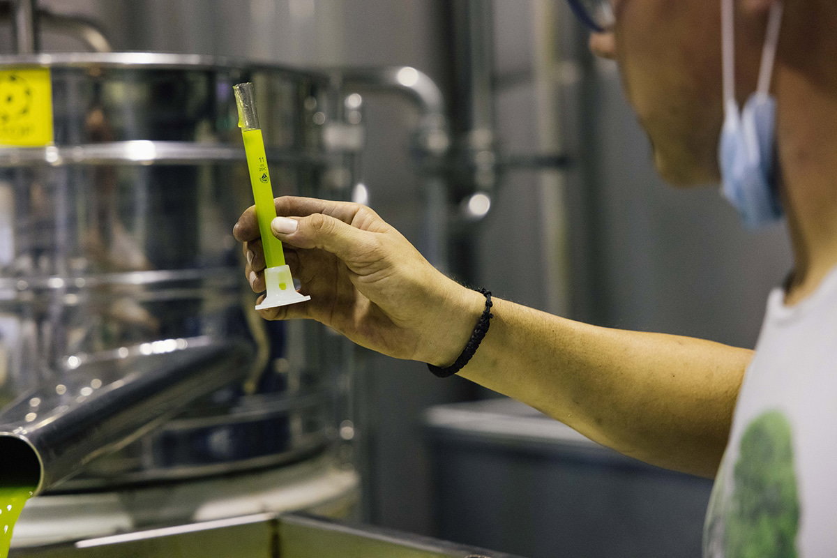 What exactly is the acidity level of Gkazas Olive Oil?