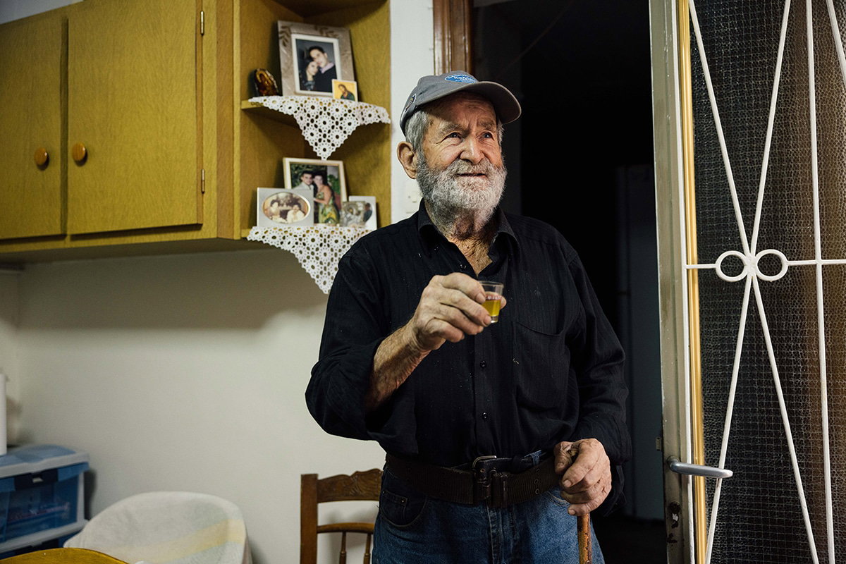 Determining the best olive oil organoleptic testing 