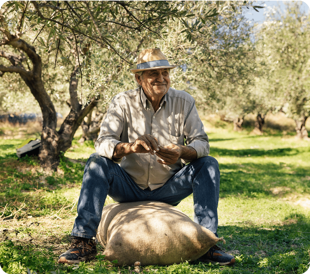 How to recognize good organic extra virgin olive oil