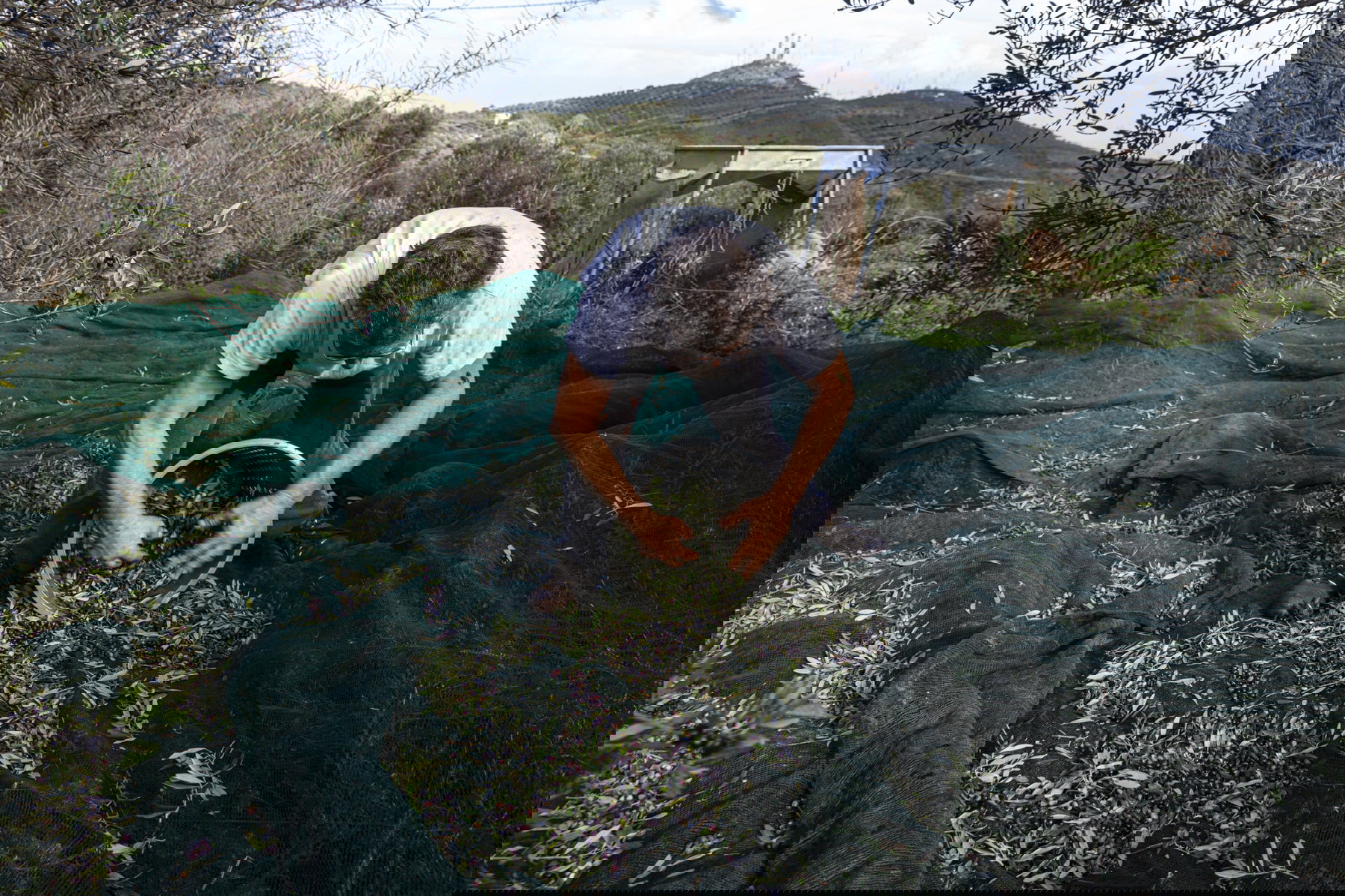 The production process