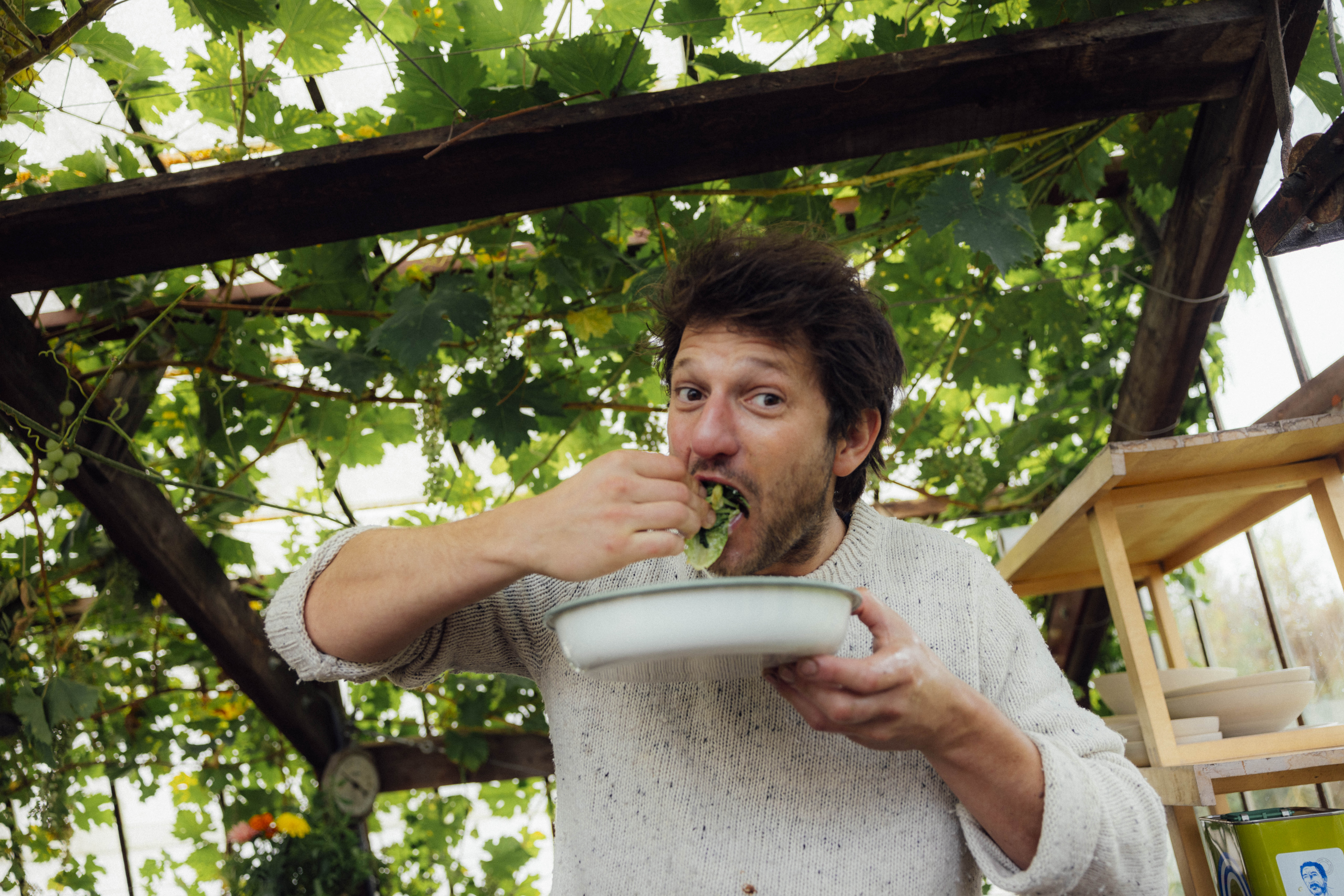 De gezondheidsvoordelen van olijfolie