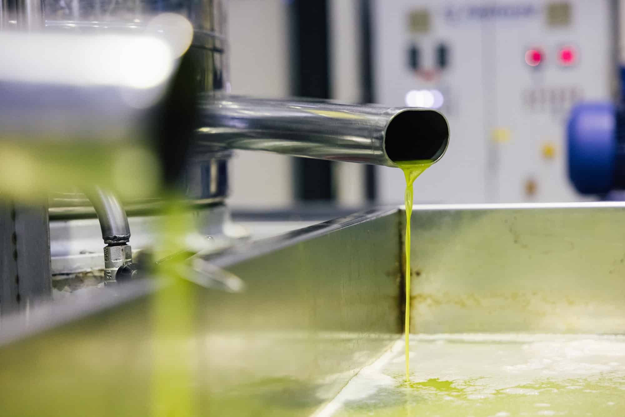 Sesamolie versus olijfolie, wat is de meest gezonde keuze?