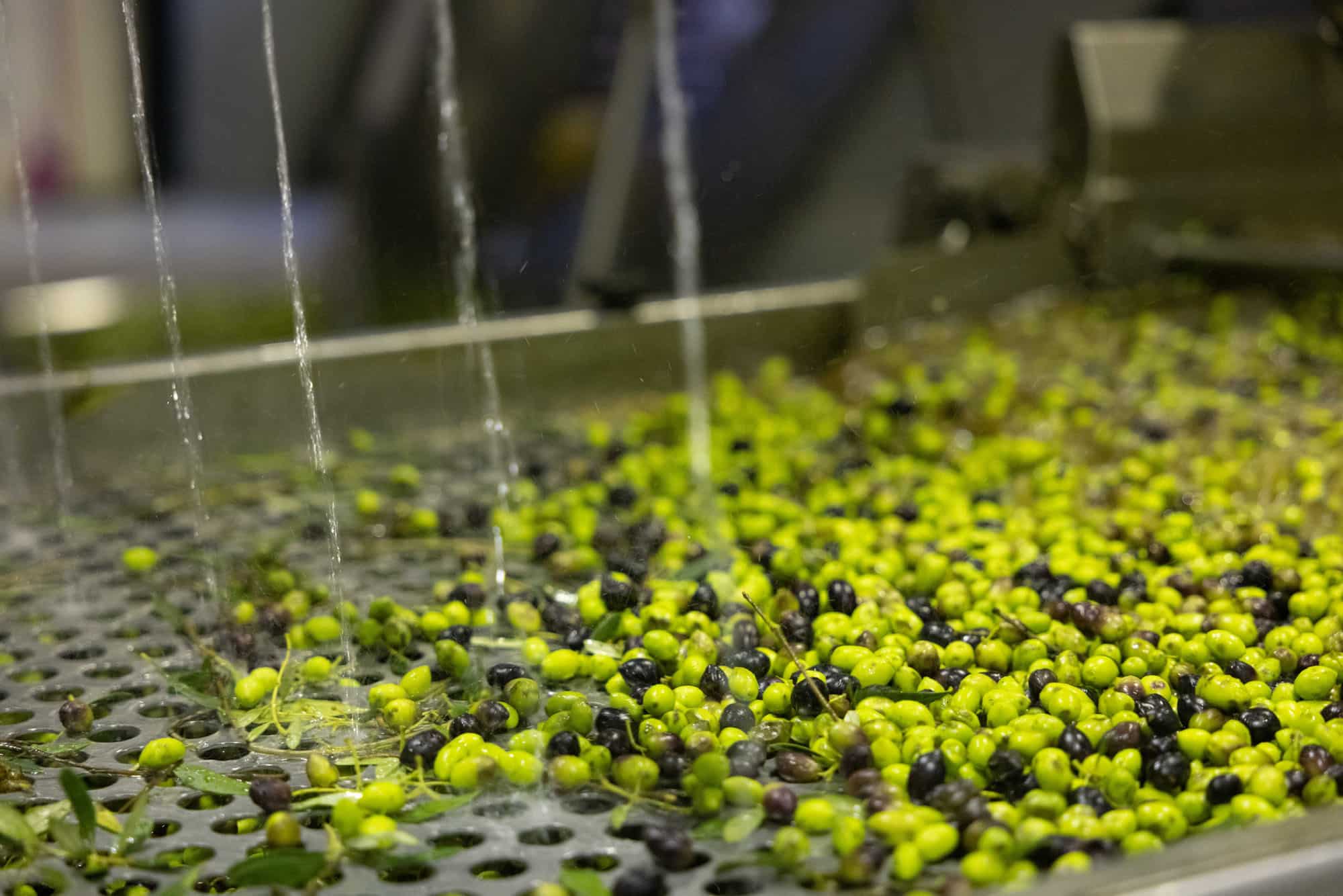 What is refined olive oil and is it healthy?