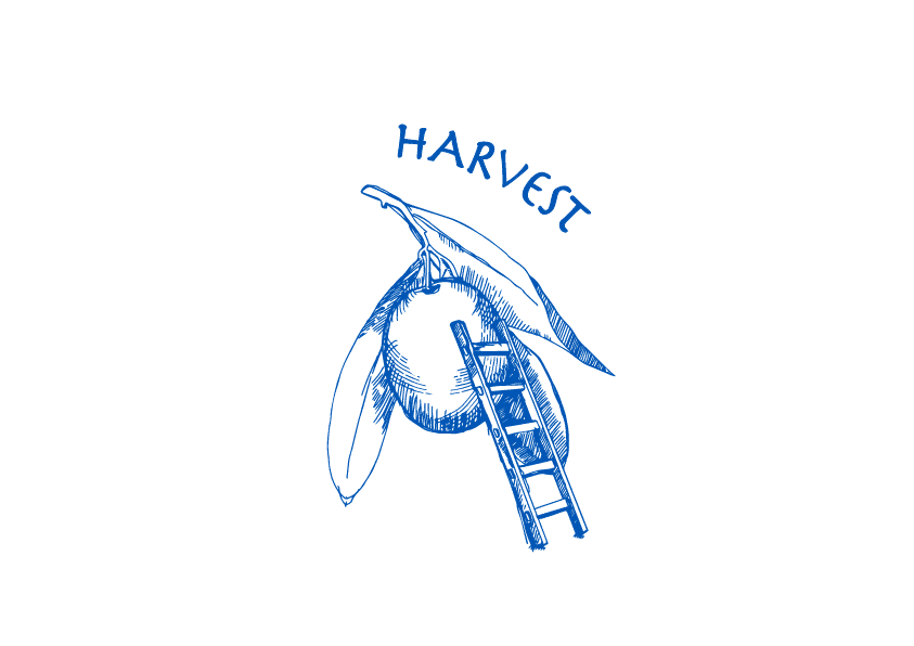 Harvest