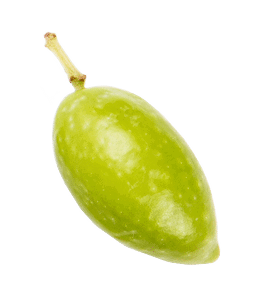 Your favorite olive oils compared!