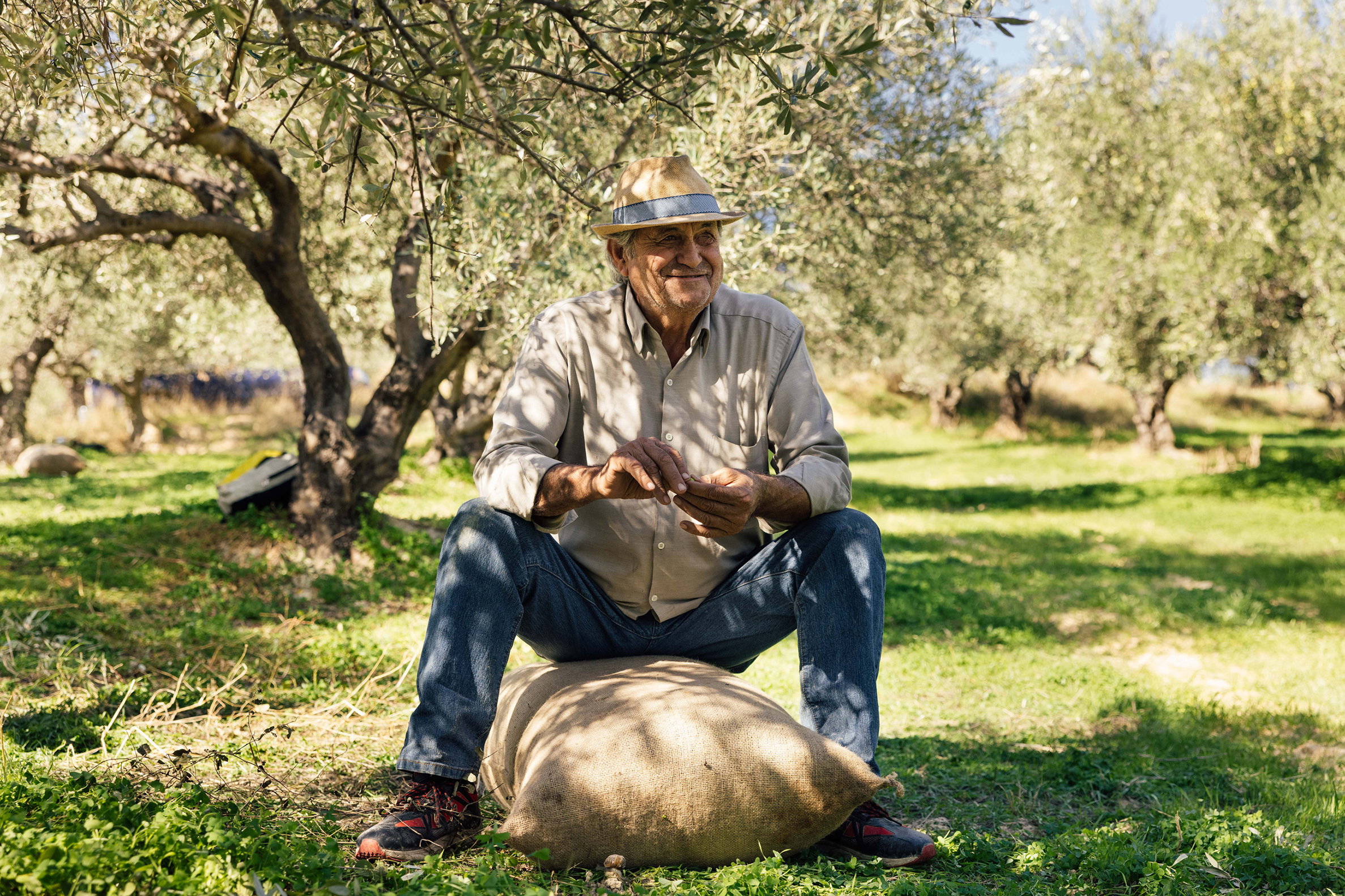 Waarom de olijfoliemarkt ‘s werelds meest vervalste markt is!