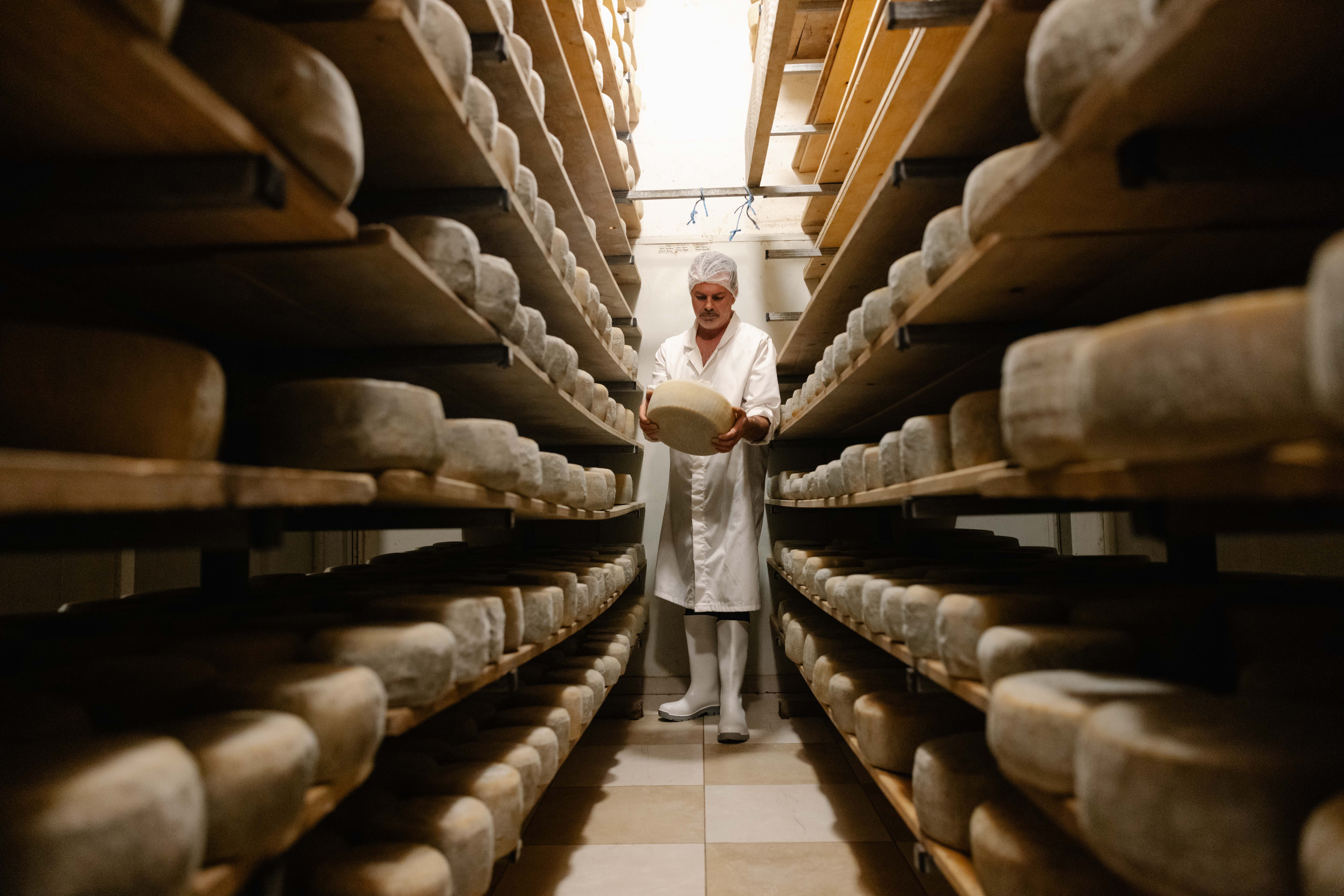 Kaasboer Manolis: van wild gras en Kretense kruiden naar authentieke, Griekse kazen!